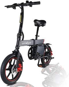 Windgoo B20 Folding Electric Bike