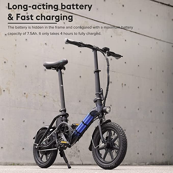 FIIDO D3 Pro Foldable Electric Bike Review - Battery Focus